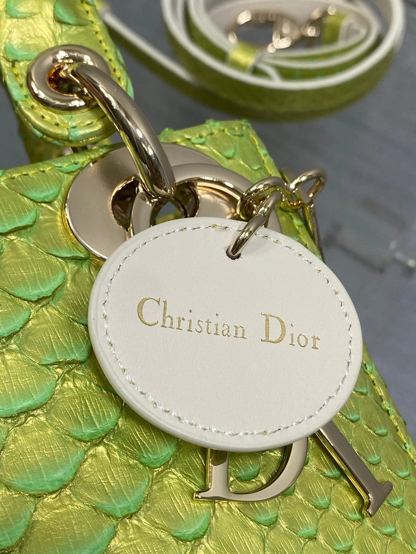 Dior 2026 Lady Embossed Snake Skin Bag 17cm Green Leather 378810