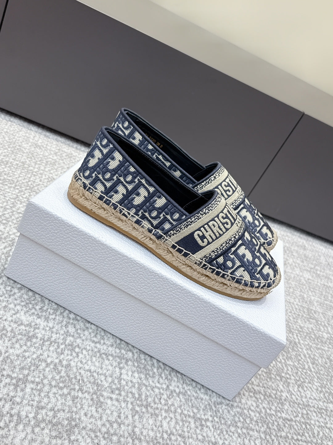 CD 26s Loafers Embroidery Navy Blue Canvas 653273