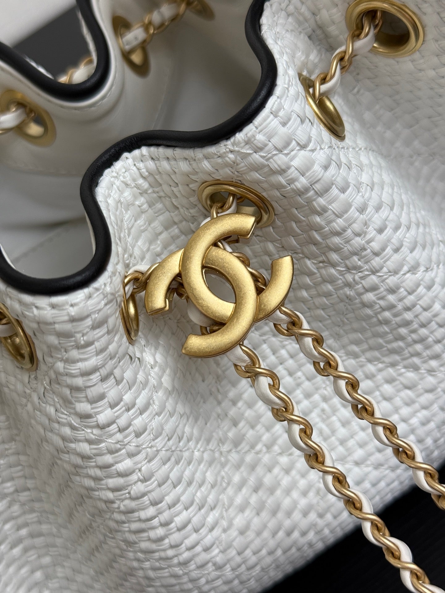 Chanel 2026 Hobo Bag 22cm Woven Leather