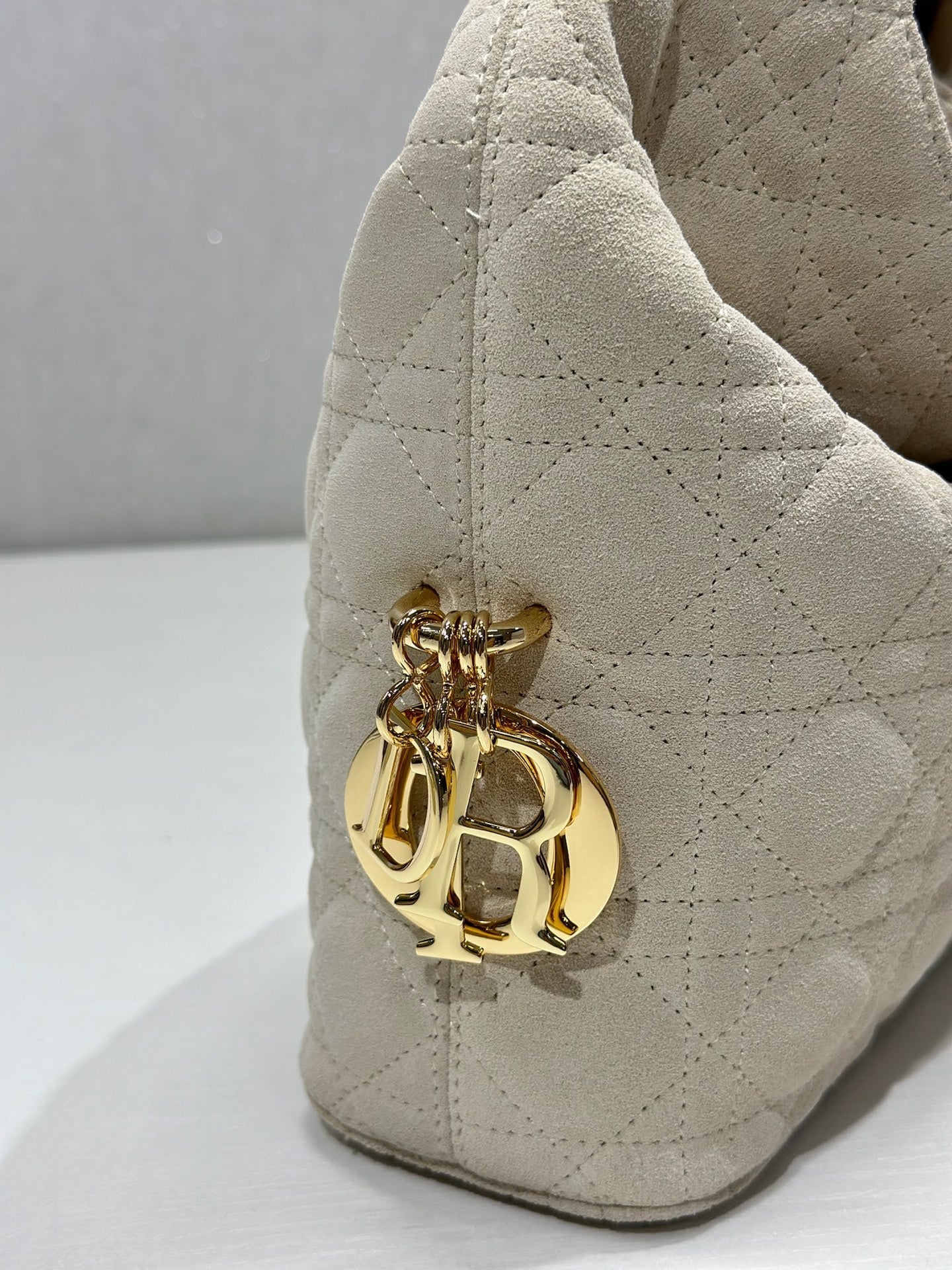 Dior 2026 Toujours Hobo 27cm Suede