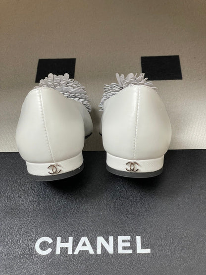 CC 26 Flower-shaped Ballet Flat White Sheepskin 593167